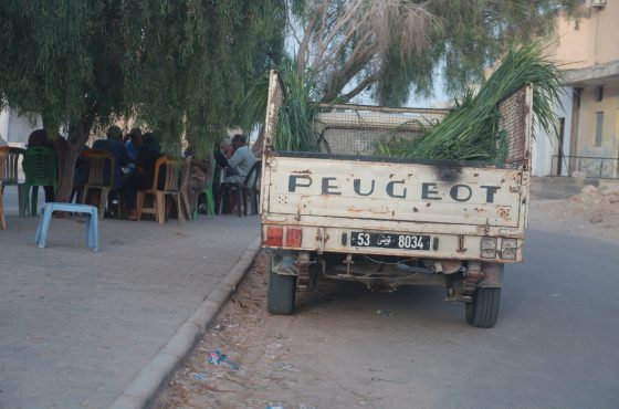 Circuit et Excursion Sahara
